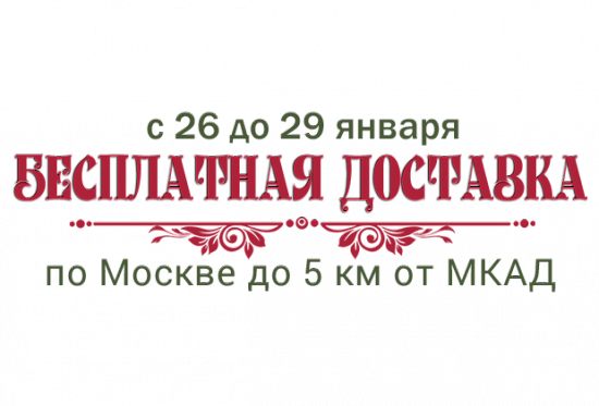 БЕСПЛАТНАЯ ДОСТАВКА ПО МОСКВЕ!